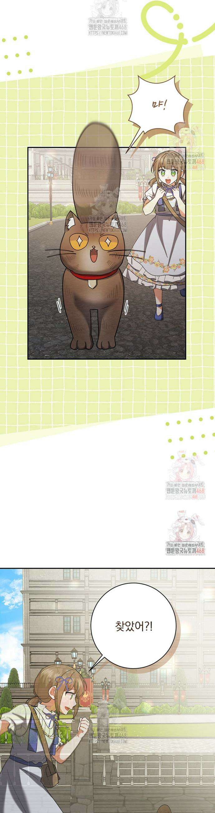 한 줄짜리 영애였을 터 234화 42