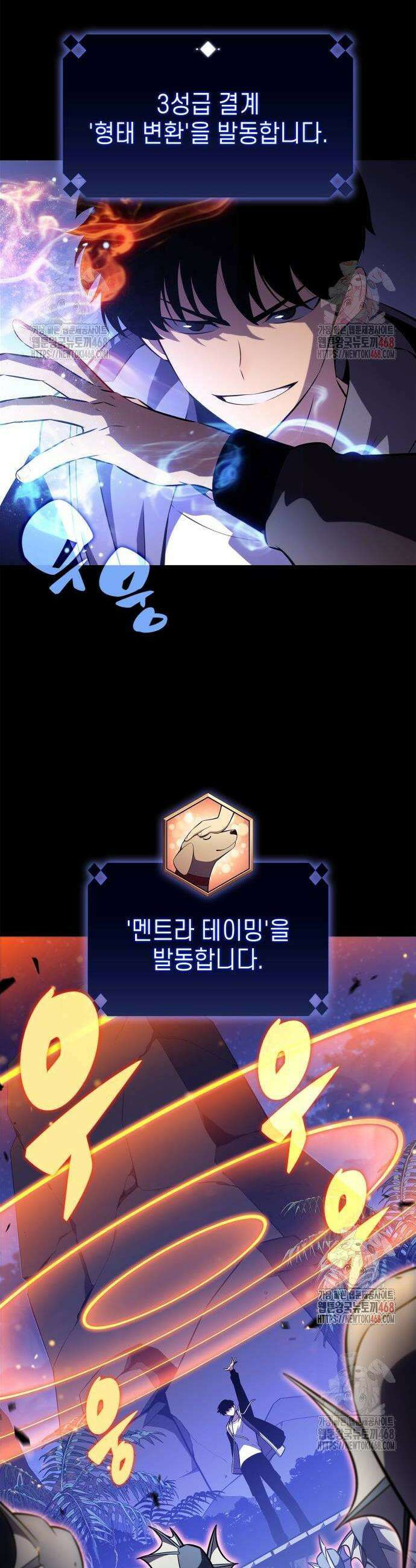 나 혼자 만렙 뉴비 207화 10