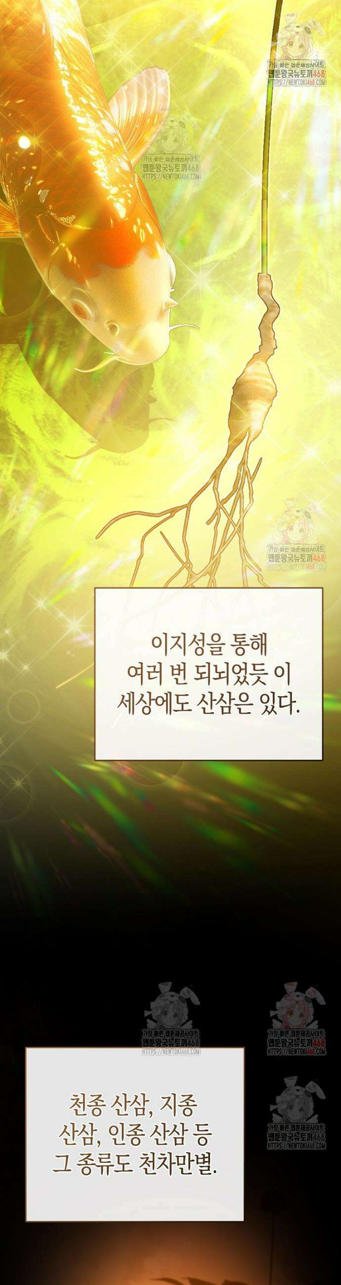 아카데미의 검술 강사가 되었다 13화 13