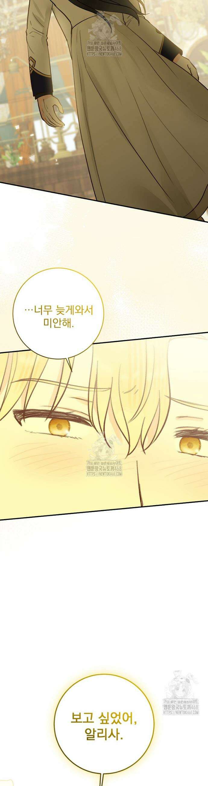 알리사와 마법일기 50화 49