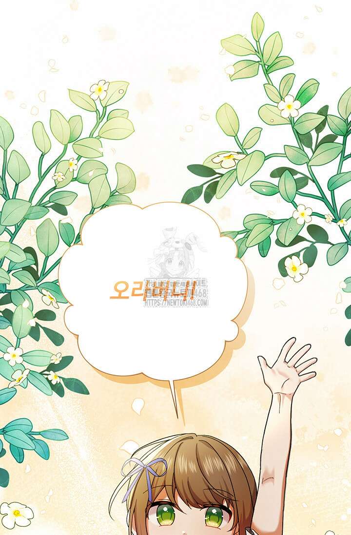 한 줄짜리 영애였을 터 236화 46