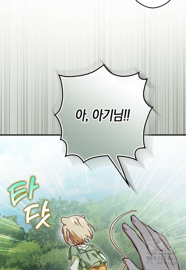 신데렐라는 이 멧밭쥐가 데려갑니다 14화 12