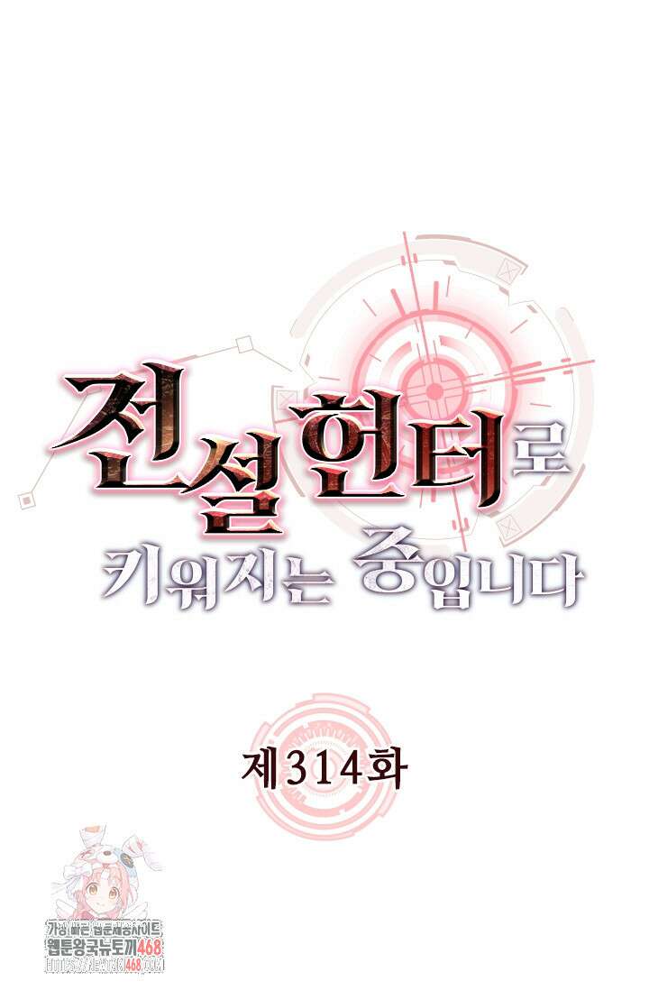 전설 헌터로 키워지는 중입니다 314화 1