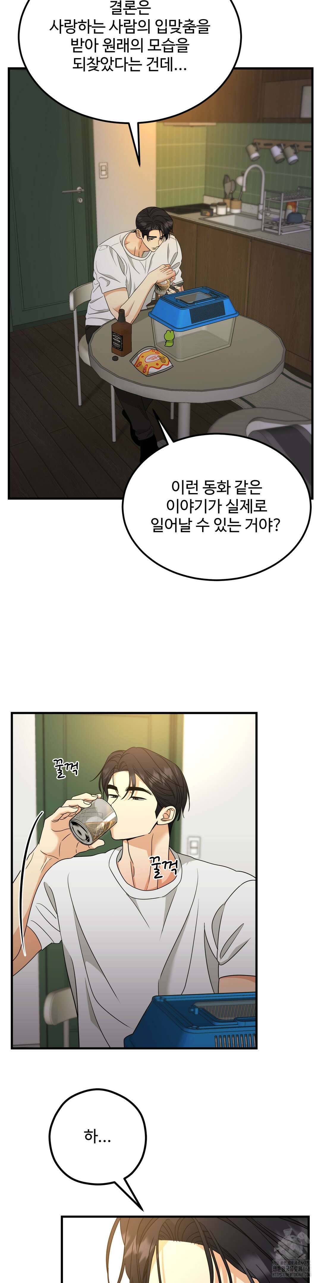 페어리 페어링 68화 19