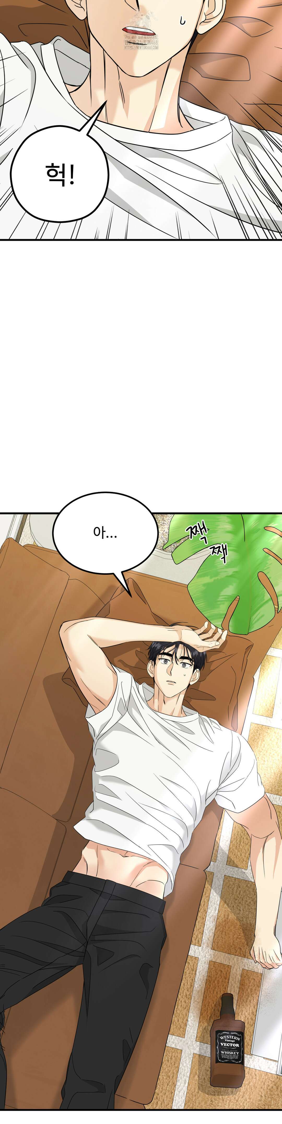 페어리 페어링 68화 28