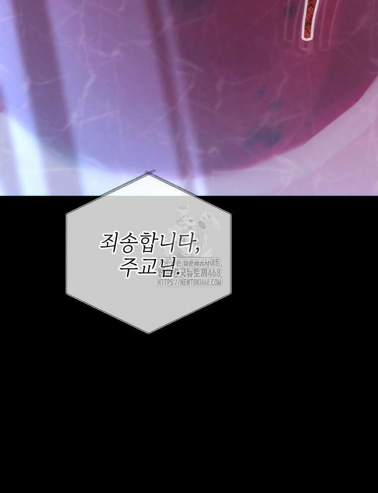 네크로맨서 학교의 소환천재 175화 102