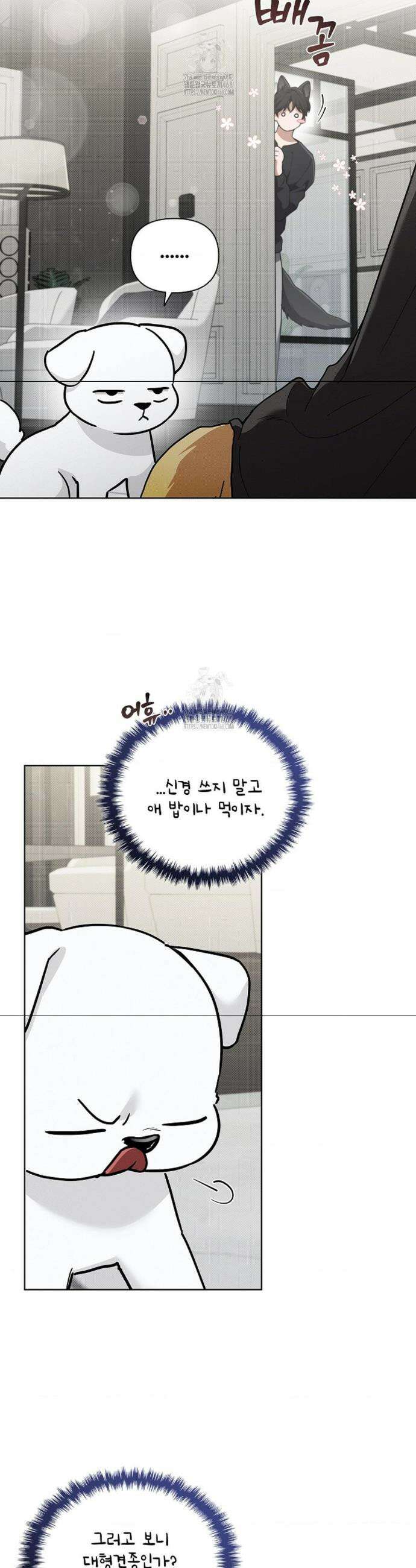 강아지는 건드리지 마라 47화 4