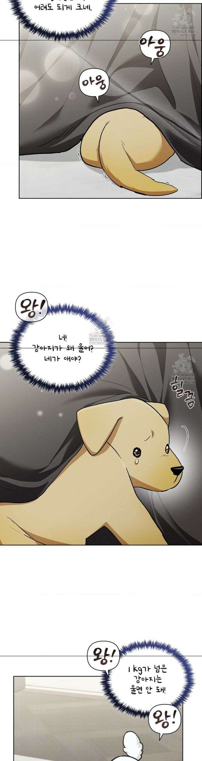강아지는 건드리지 마라 47화 5