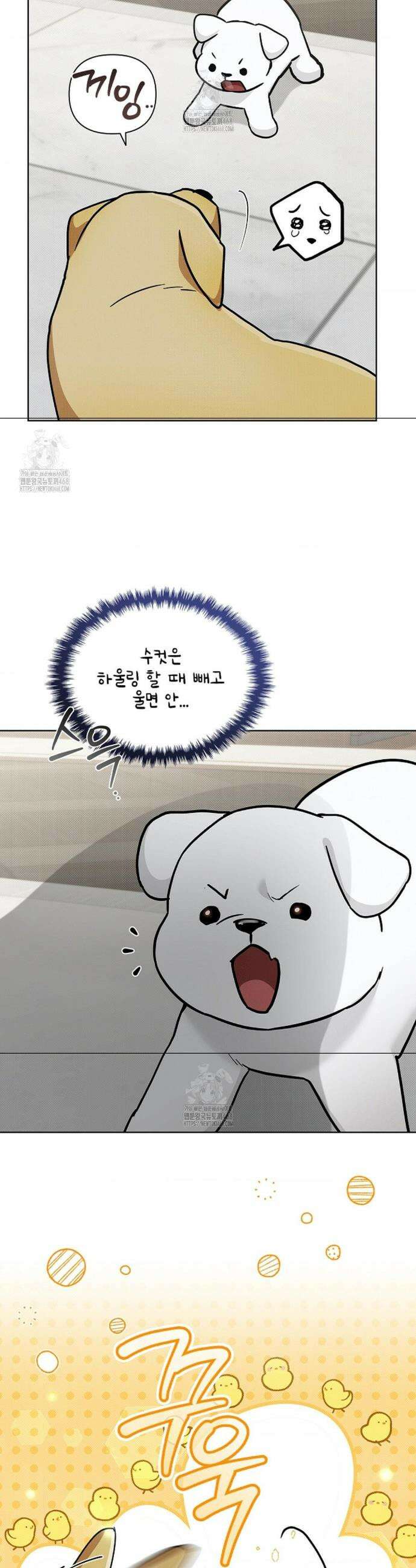 강아지는 건드리지 마라 47화 6