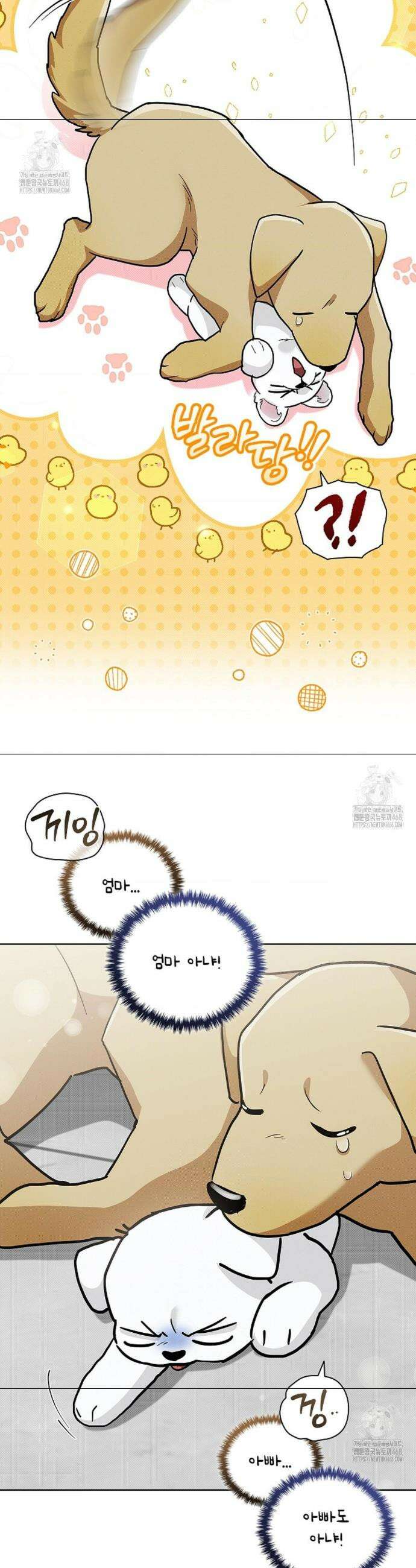 강아지는 건드리지 마라 47화 7