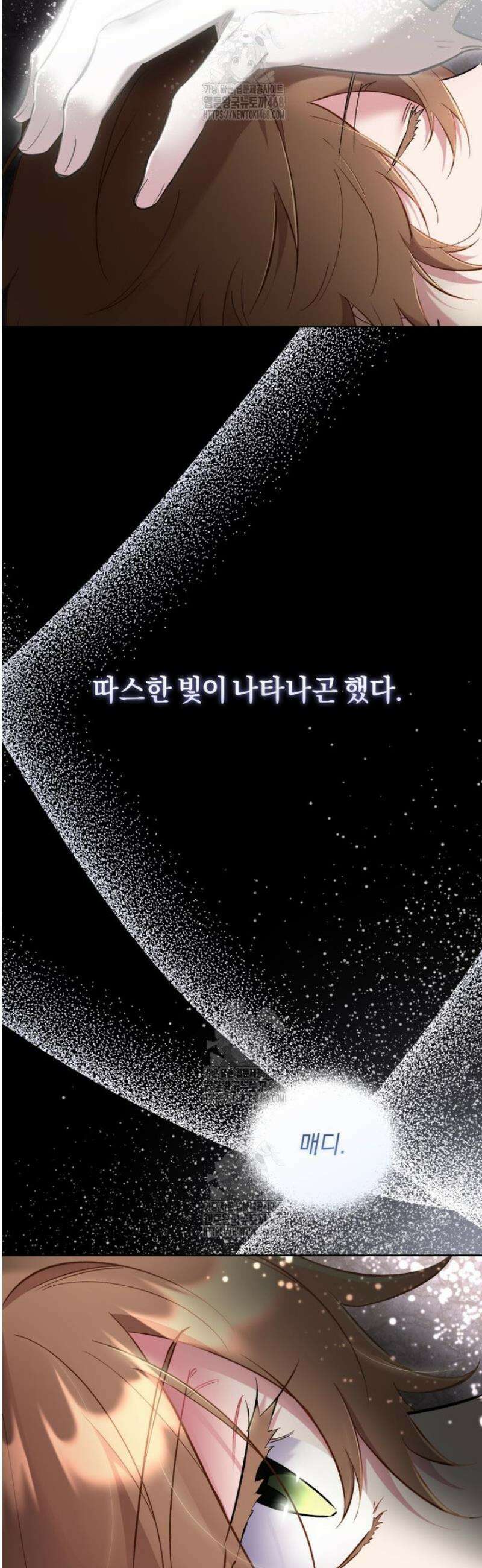 걱정 마세요, 합의된 사기 결혼입니다 39화 11