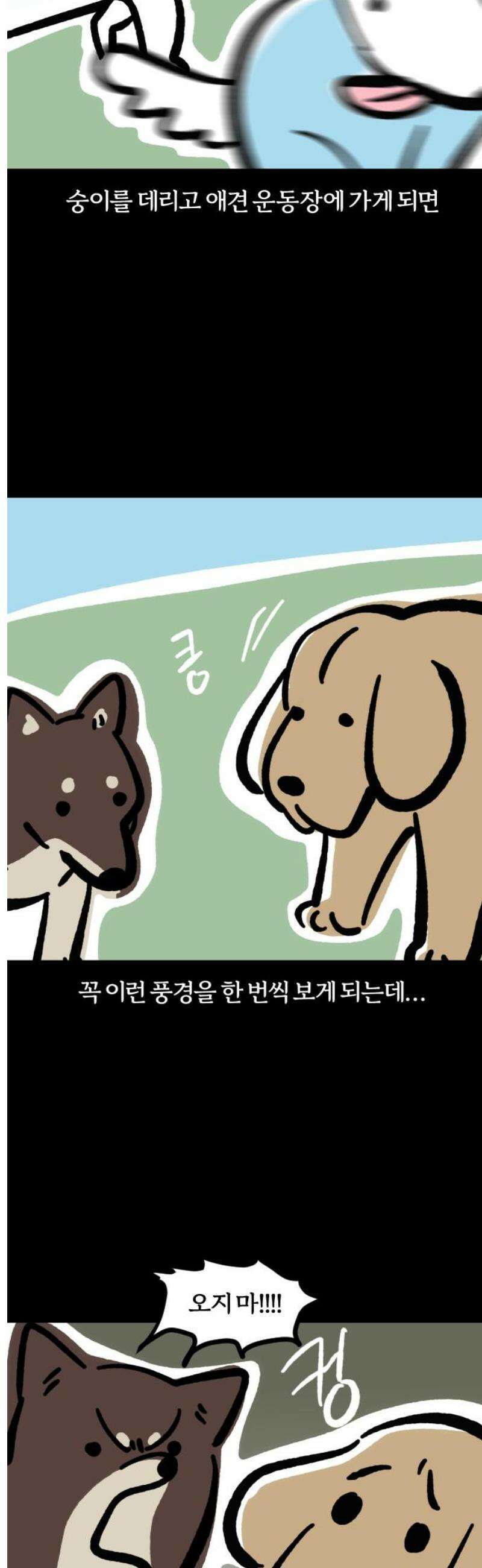 개집사 98화: 나 안아… 3