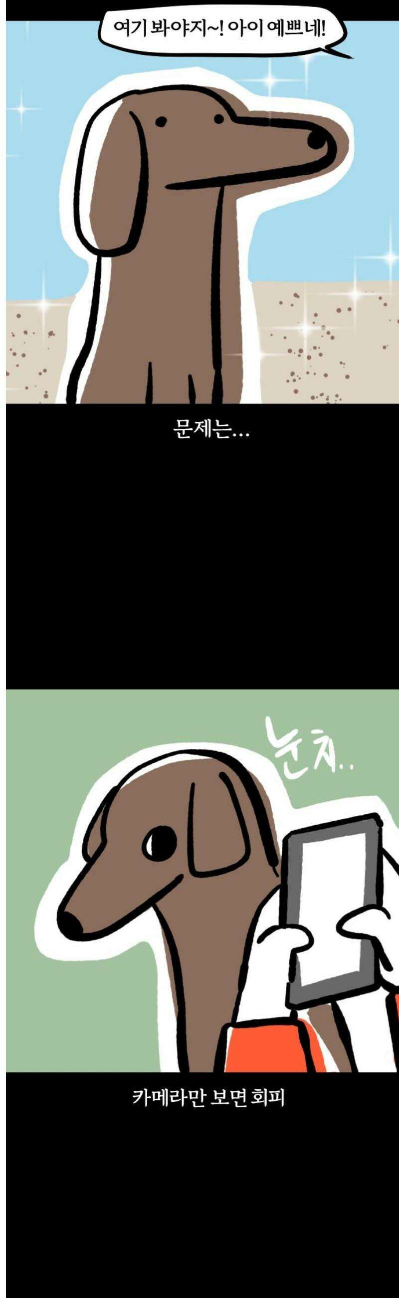 개집사 105화: 모여라 유치원 11