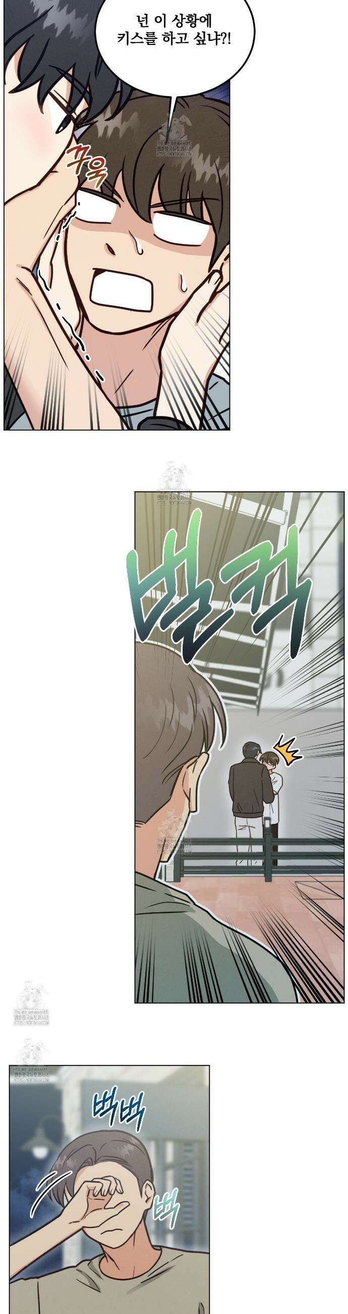 어브노말 룸메이트 84화 3
