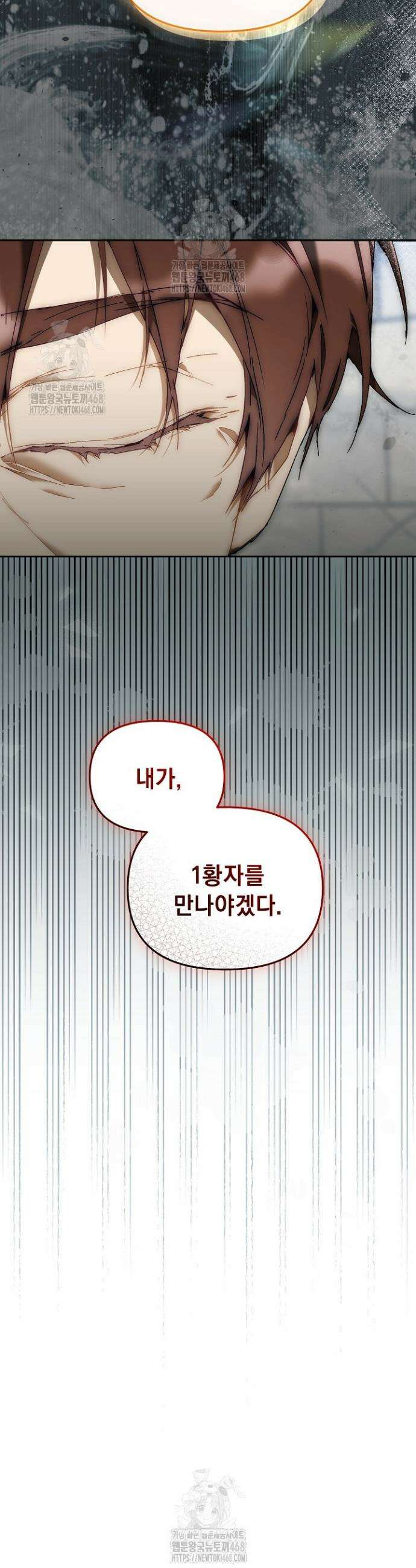 흑막 남주의 시한부 유모입니다 79화 17