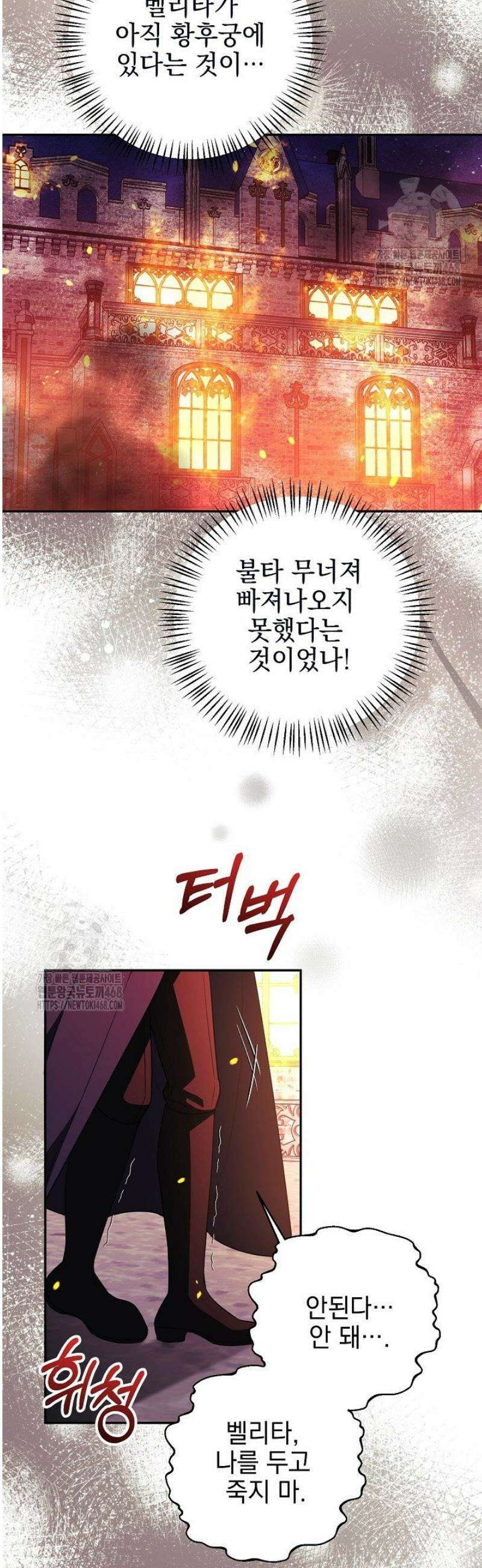 폭군에게 찍힌 민폐 황후입니다 65화 30