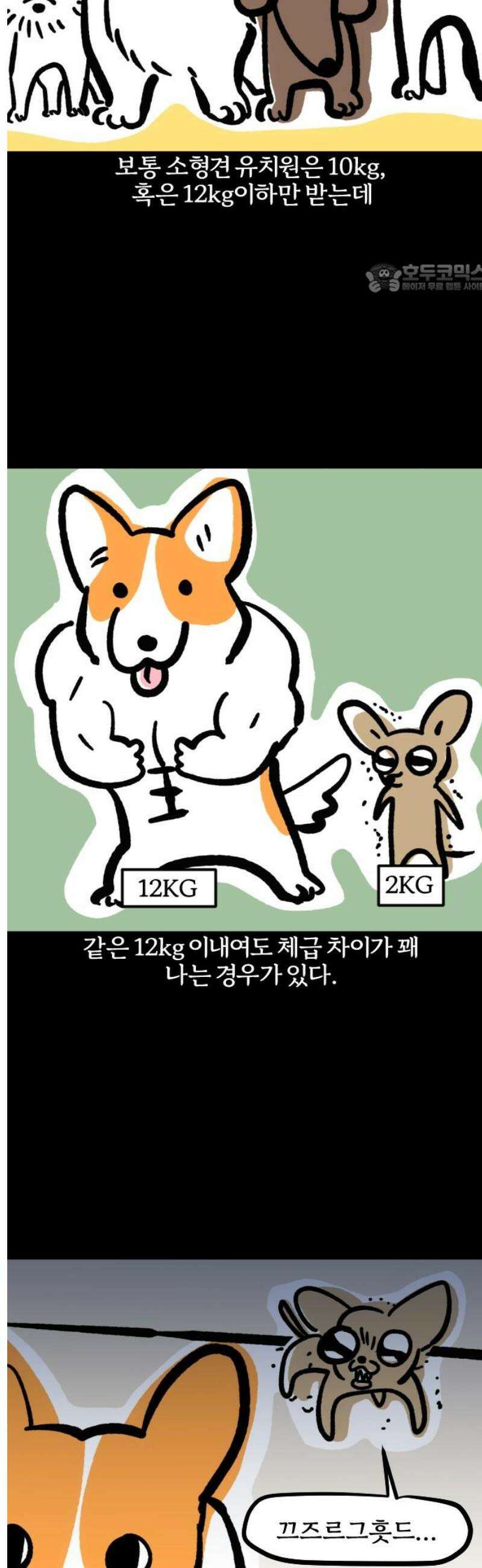 개집사 108화: 튼튼 2