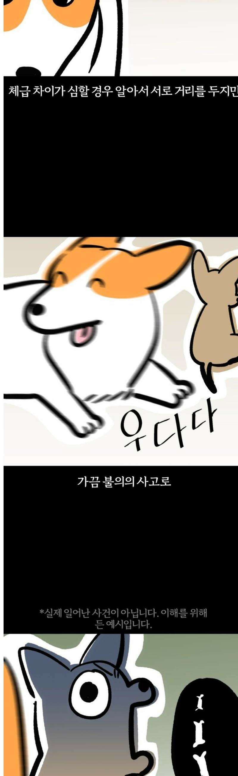 개집사 108화: 튼튼 3