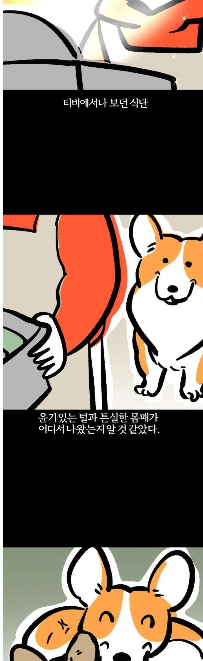 개집사 108화: 튼튼 9