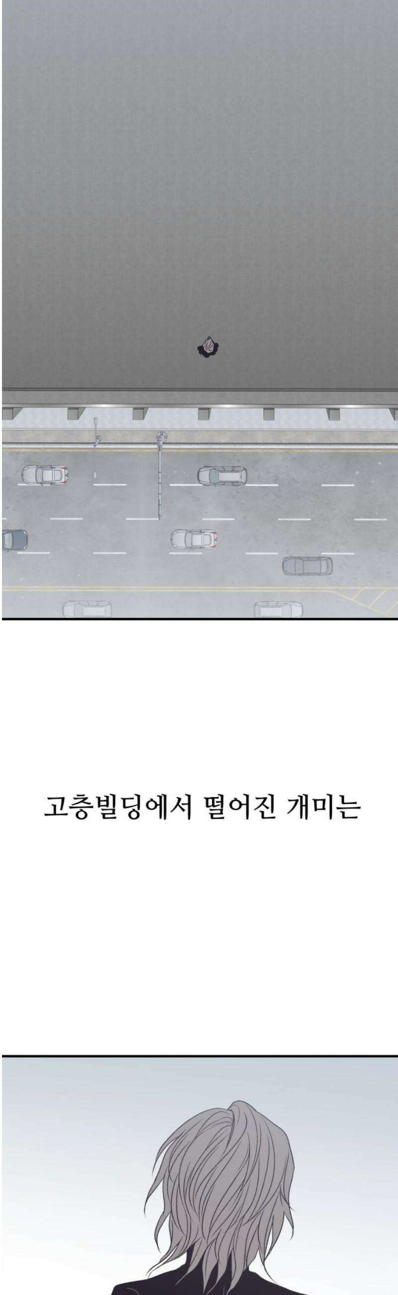 문스트럭 고층빌딩에서 떨어진 그 개미는 25화 91