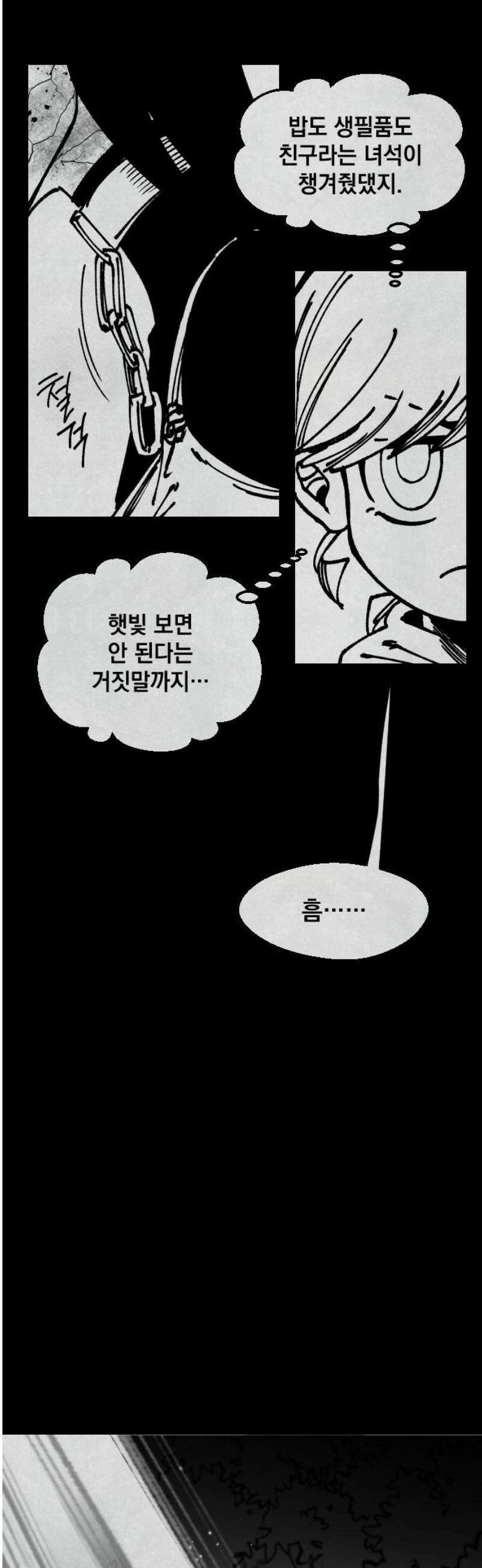 라서드 161화 빛이 없는 숲엔 25
