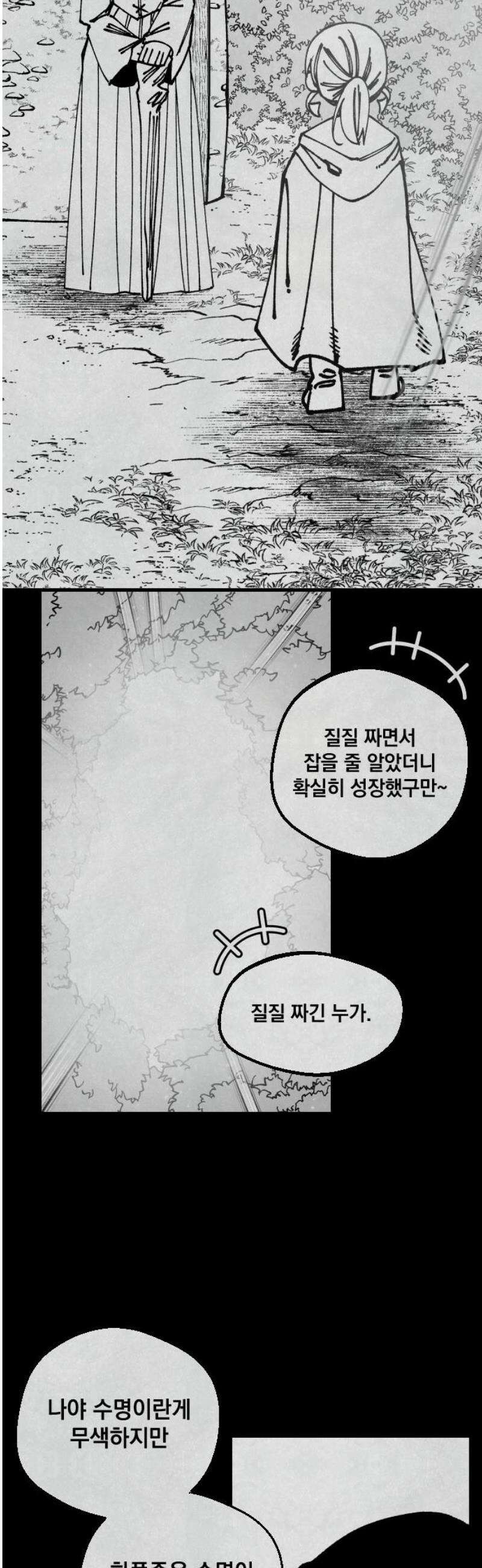 라서드 161화 빛이 없는 숲엔 36