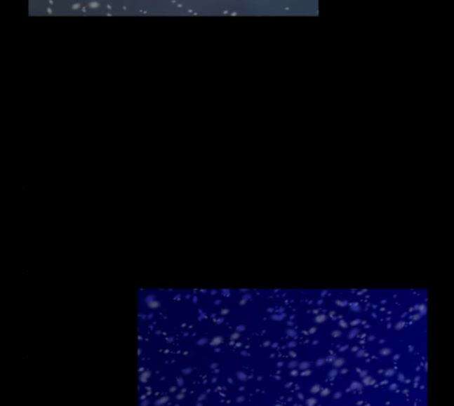 극야(네이버) 77화 103