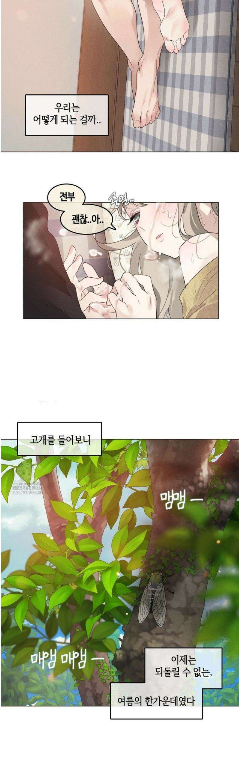 해바라기가 속삭이는 계절에 6화 25