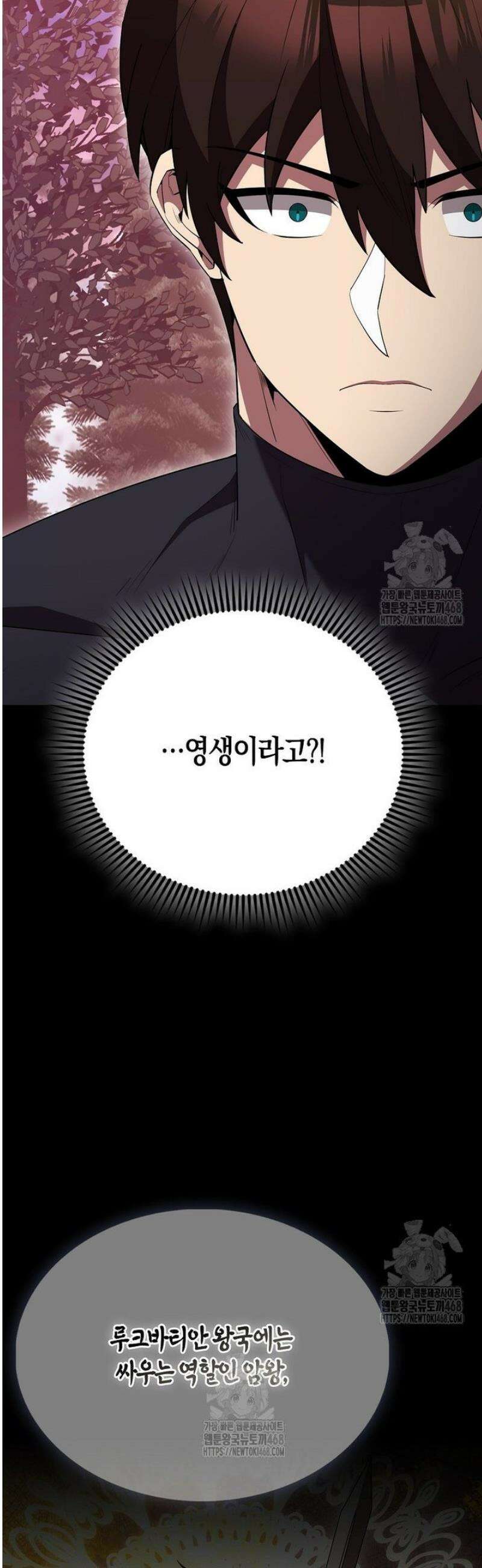 엑스트라가 너무 강함 97화 26