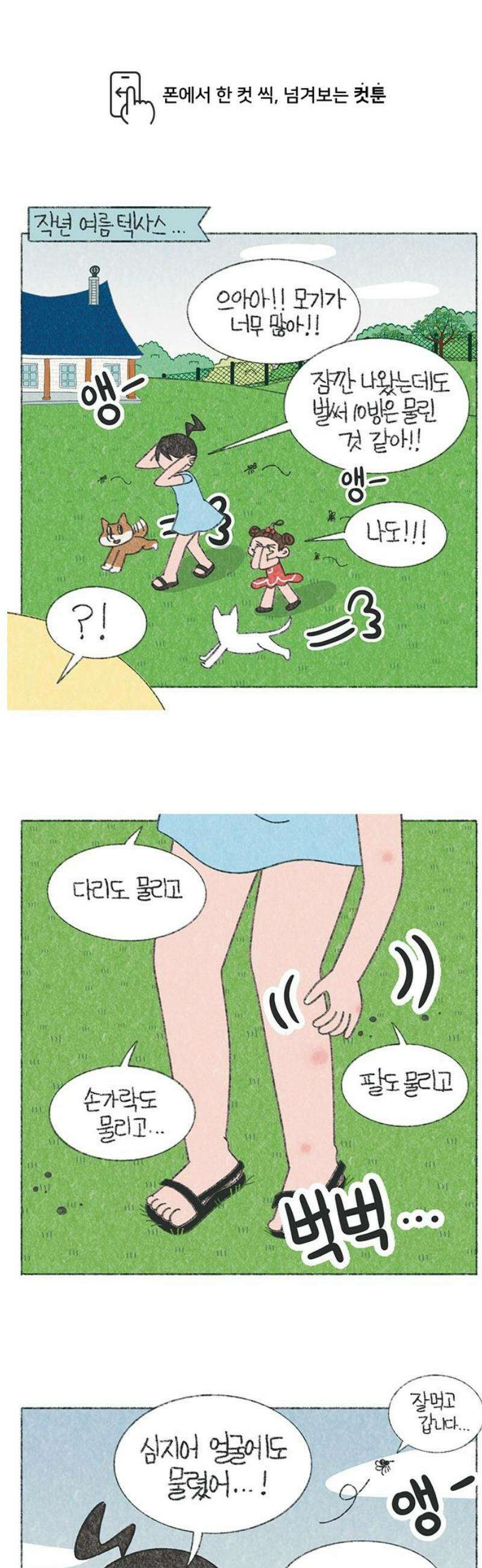 마님이네 미국 시골집 이야기 207화 제주도 모기는 무서워 1
