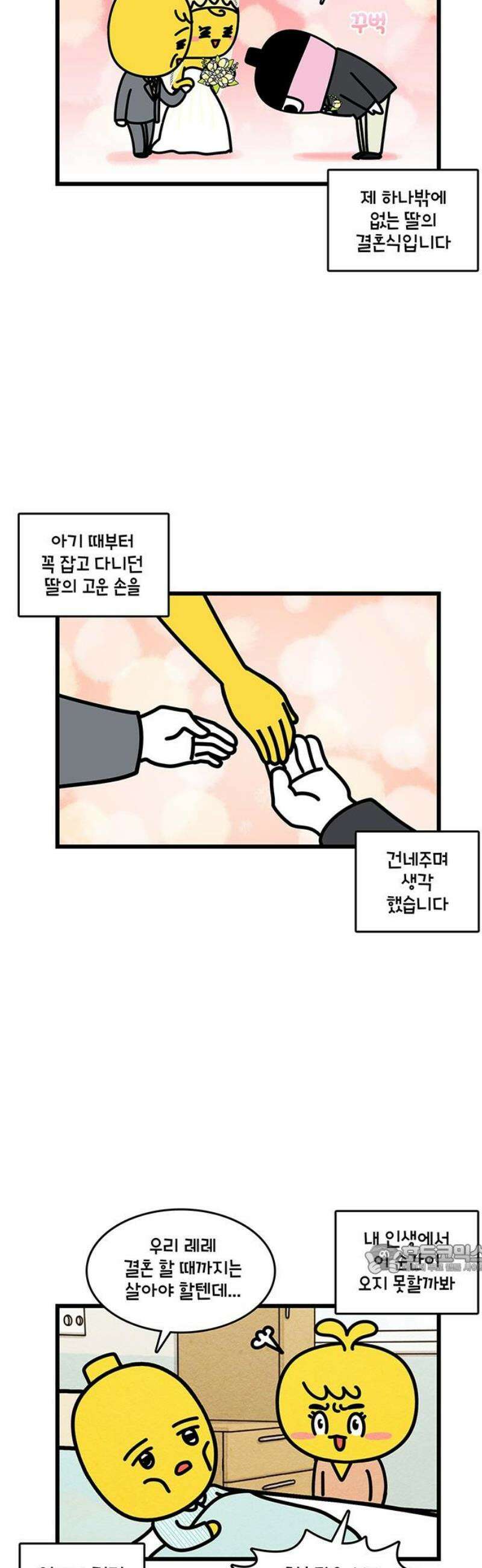 윌유메리미 시즌2 913화 레레♥바다 러브스토리_신혼여행 2