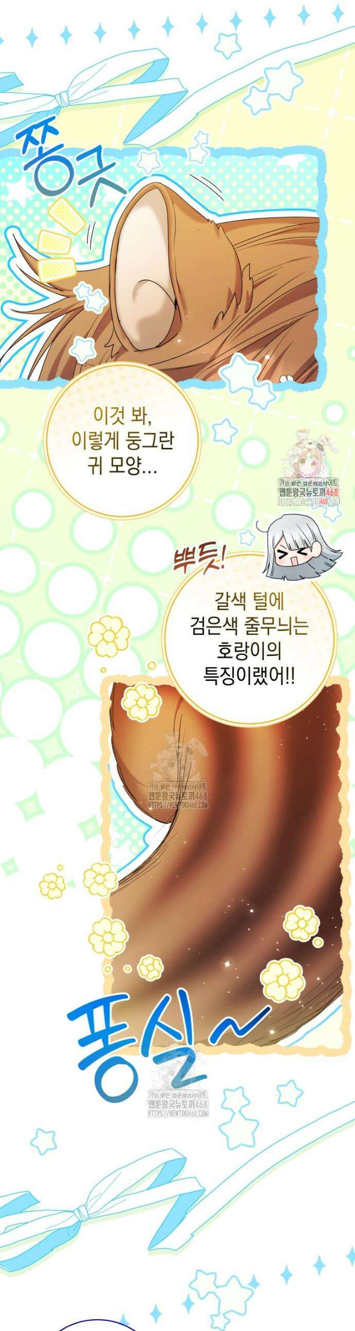 흑막 범고래 아기님 78화 1