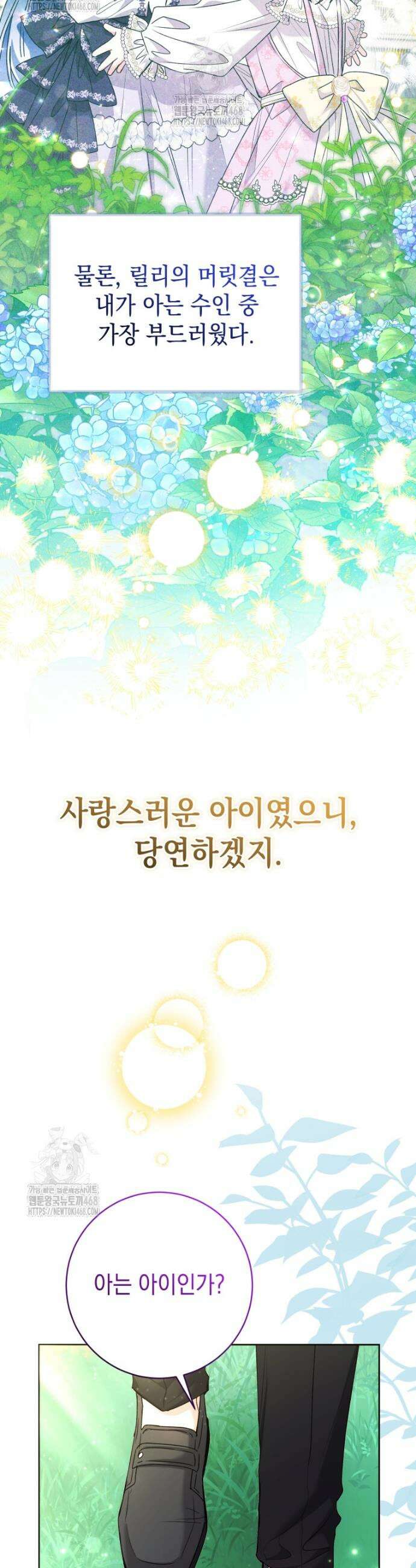 흑막 범고래 아기님 78화 8