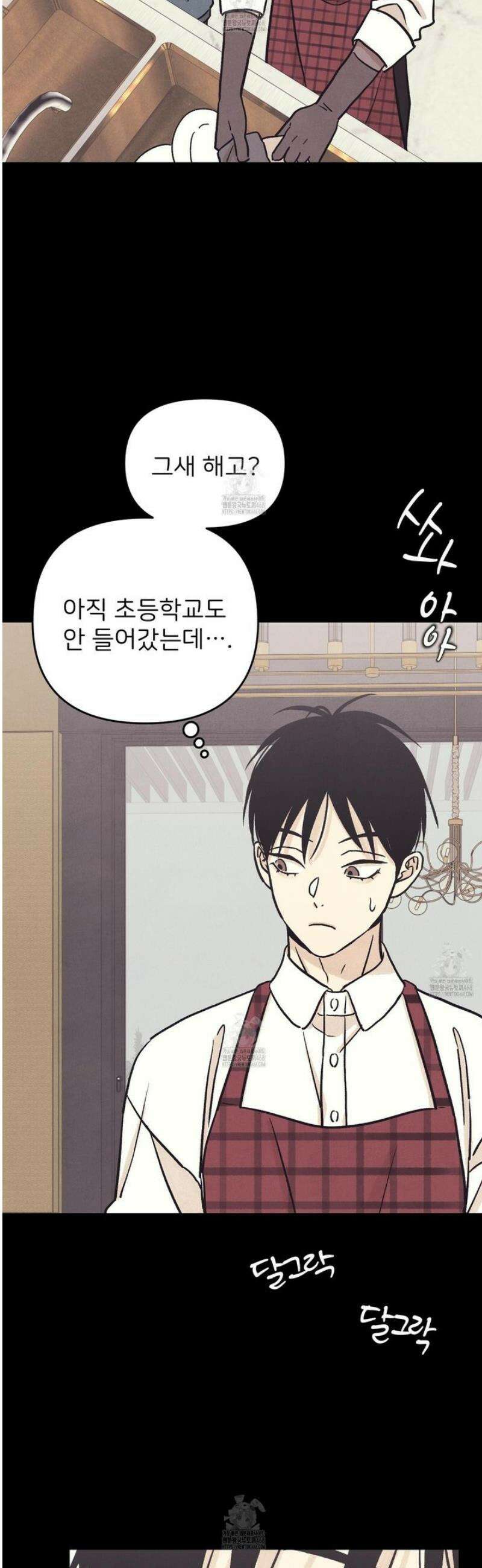 작전명 마레오 24화 5