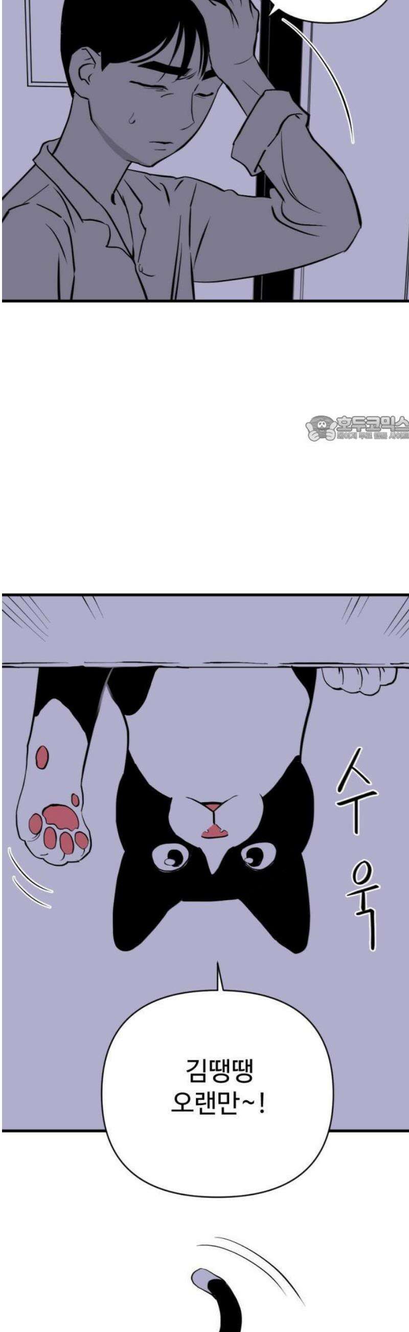 2025 루키 단편선 2화． 스타츄르레이싱 - 천귀 작가 12