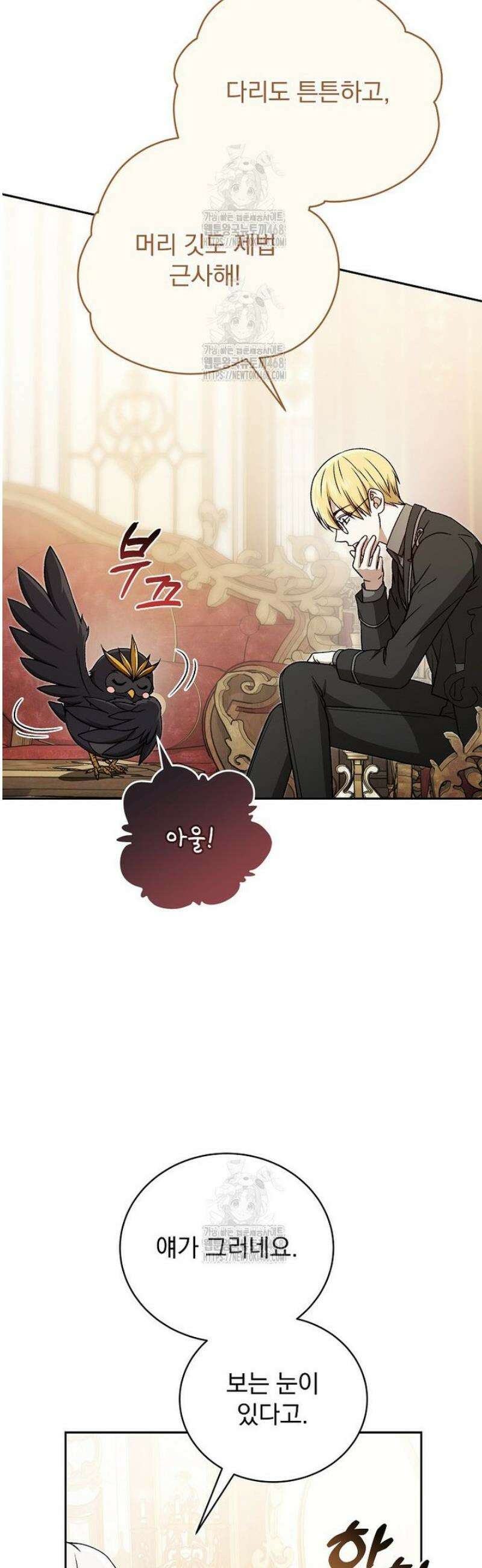 개념 잡는 마법 천재 37화 13