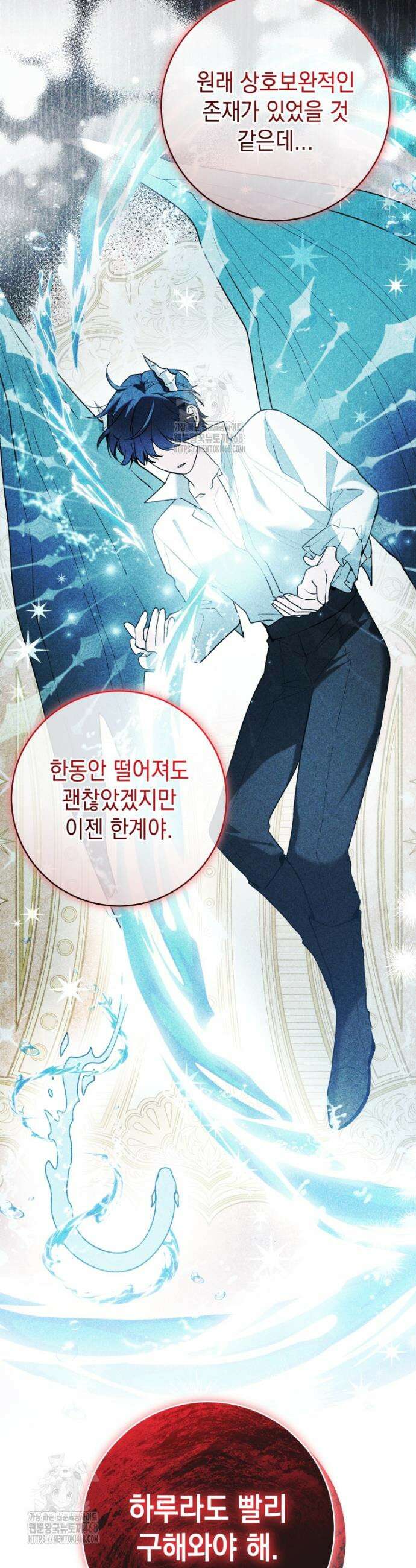 흑막 범고래 아기님 82화 4