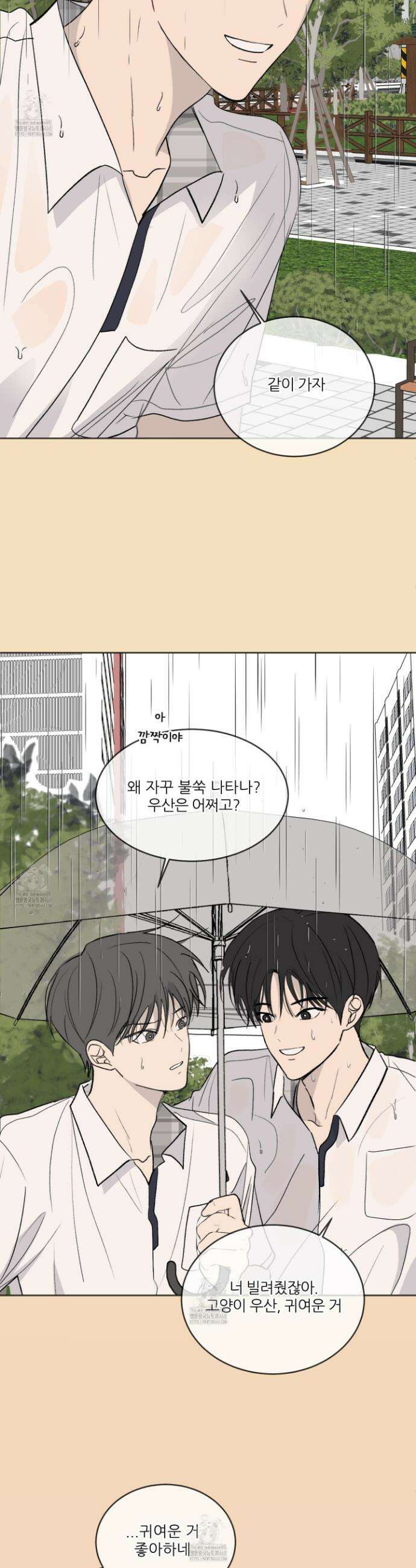 행방불명 로맨스 54화 19