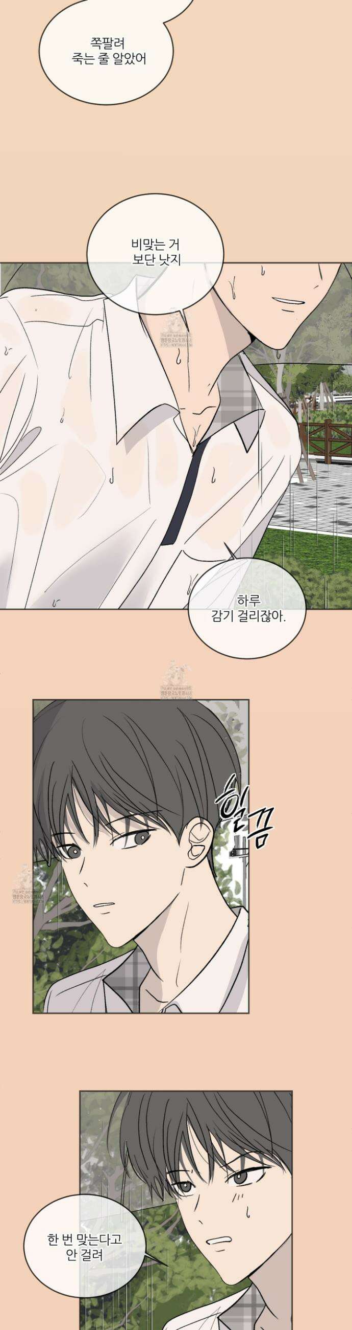 행방불명 로맨스 54화 20