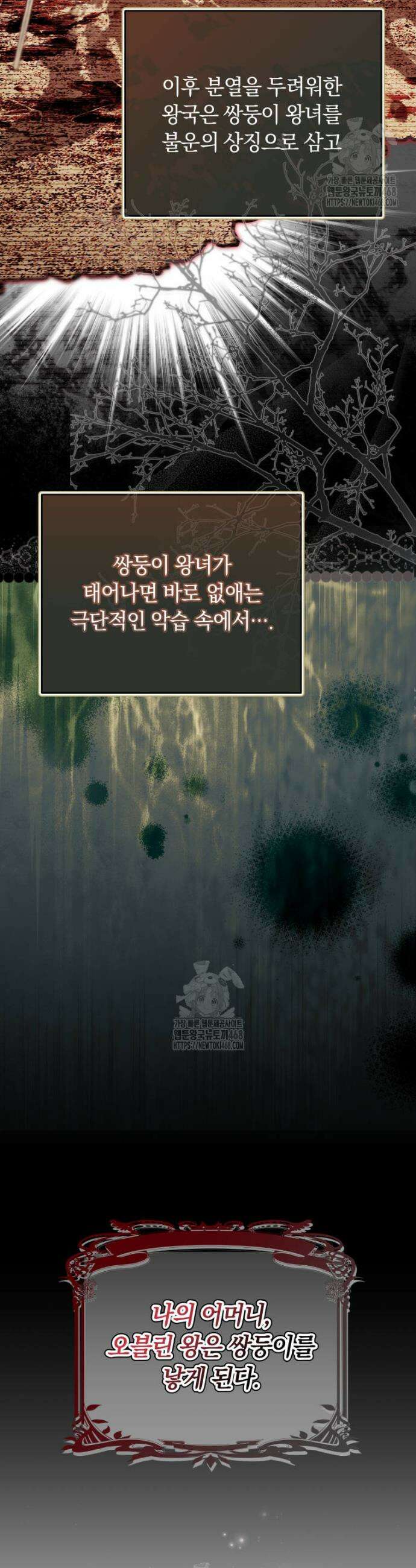 쌍둥이 왕녀로 살아남기 2화 14