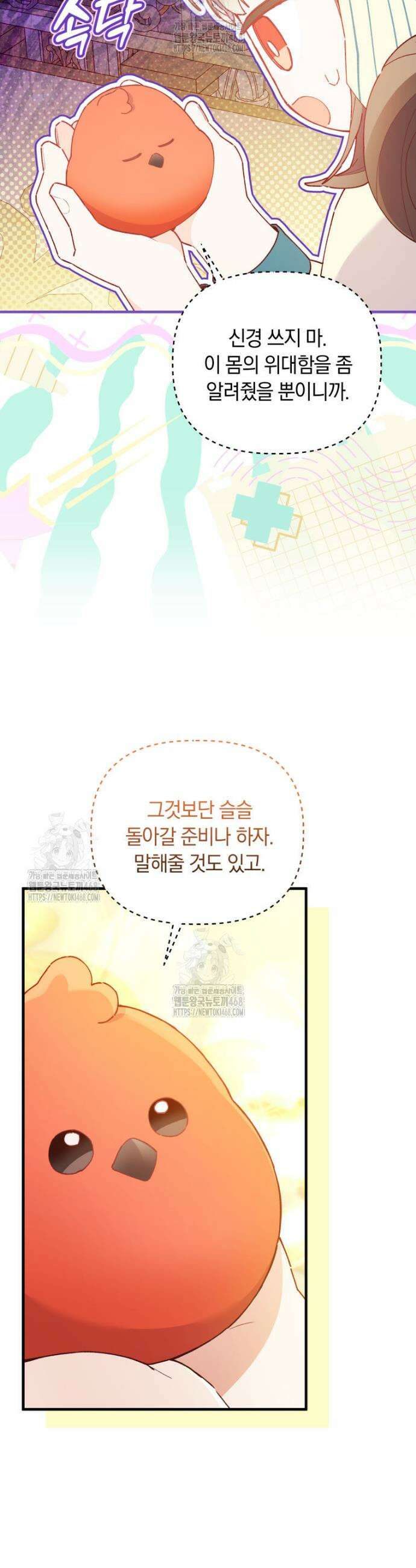 쌍둥이 왕녀로 살아남기 17화 30