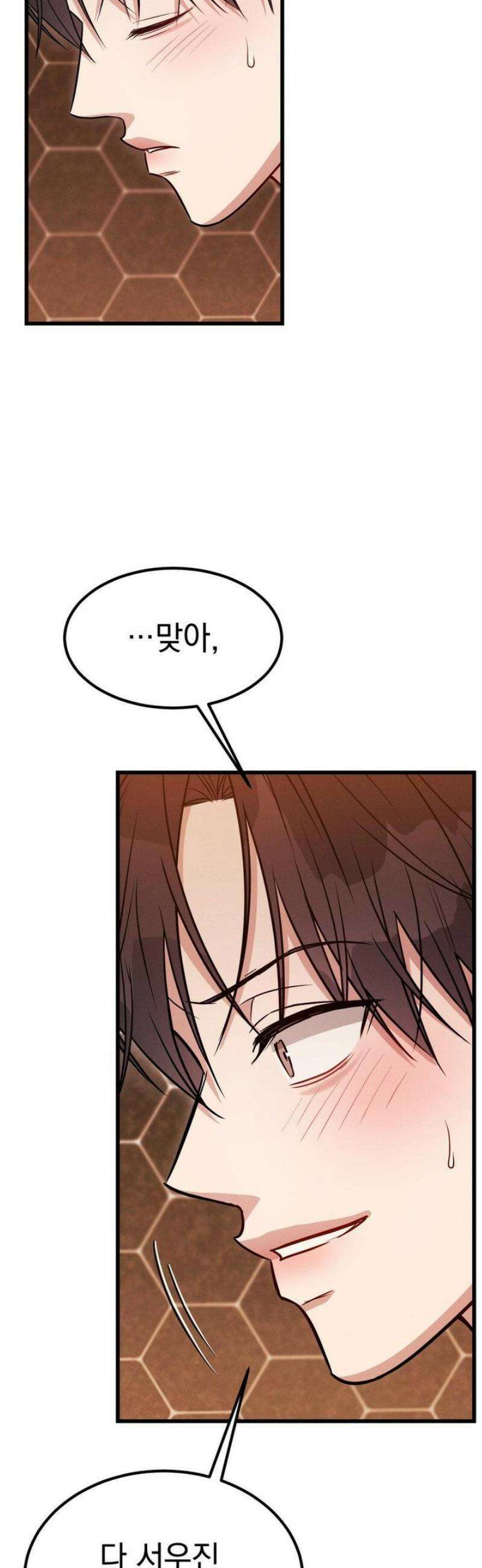 플라시보(레진) 외전 8화 8