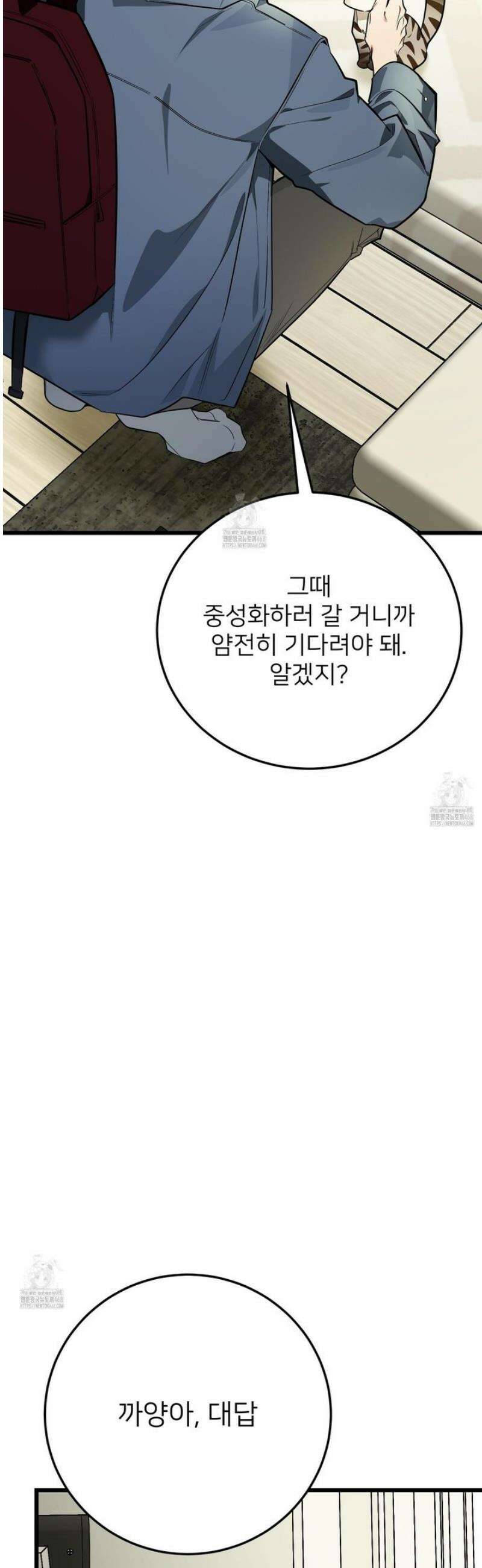 아기 삵을 낳아줘, 나 미치는 꼴 보기 싫으면! 9화 3
