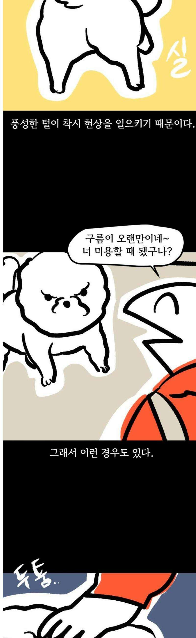 개집사 132화: 알바일지?견종특집?-비숑편 5