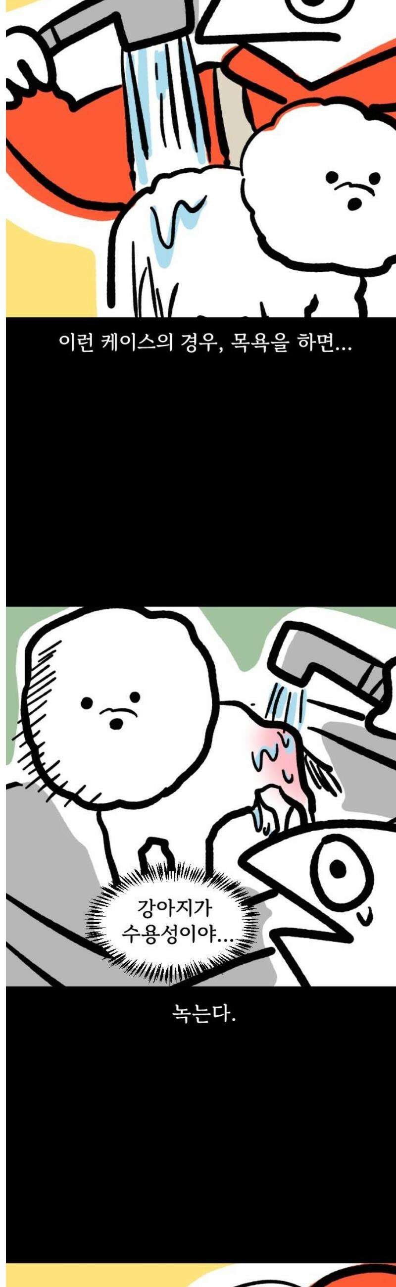 개집사 132화: 알바일지?견종특집?-비숑편 9