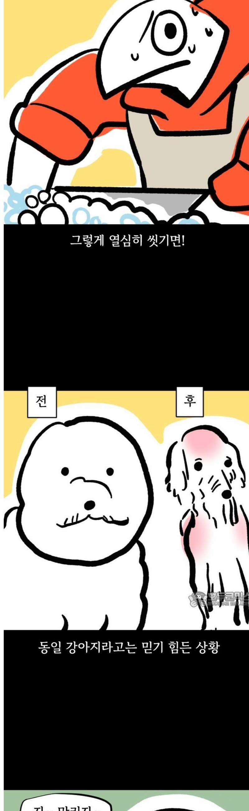 개집사 132화: 알바일지?견종특집?-비숑편 10