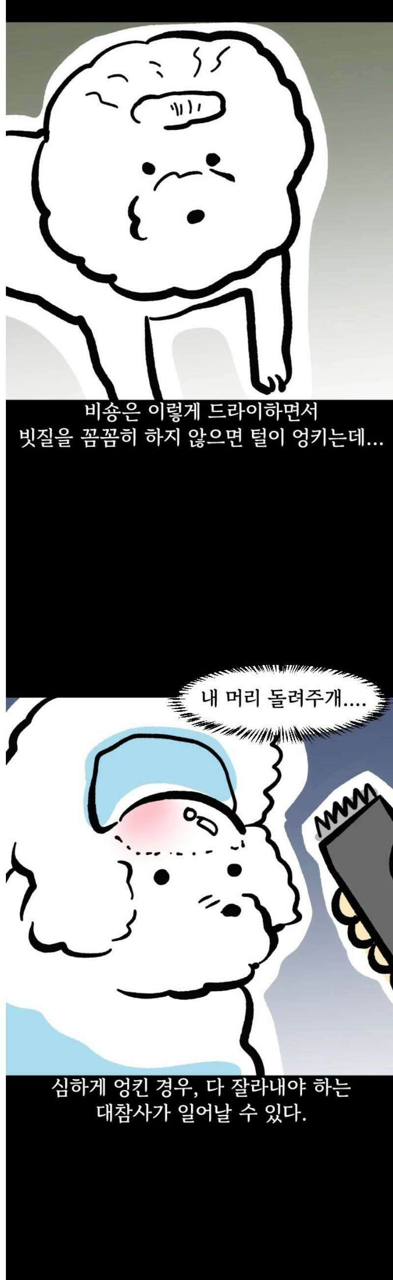개집사 132화: 알바일지?견종특집?-비숑편 13