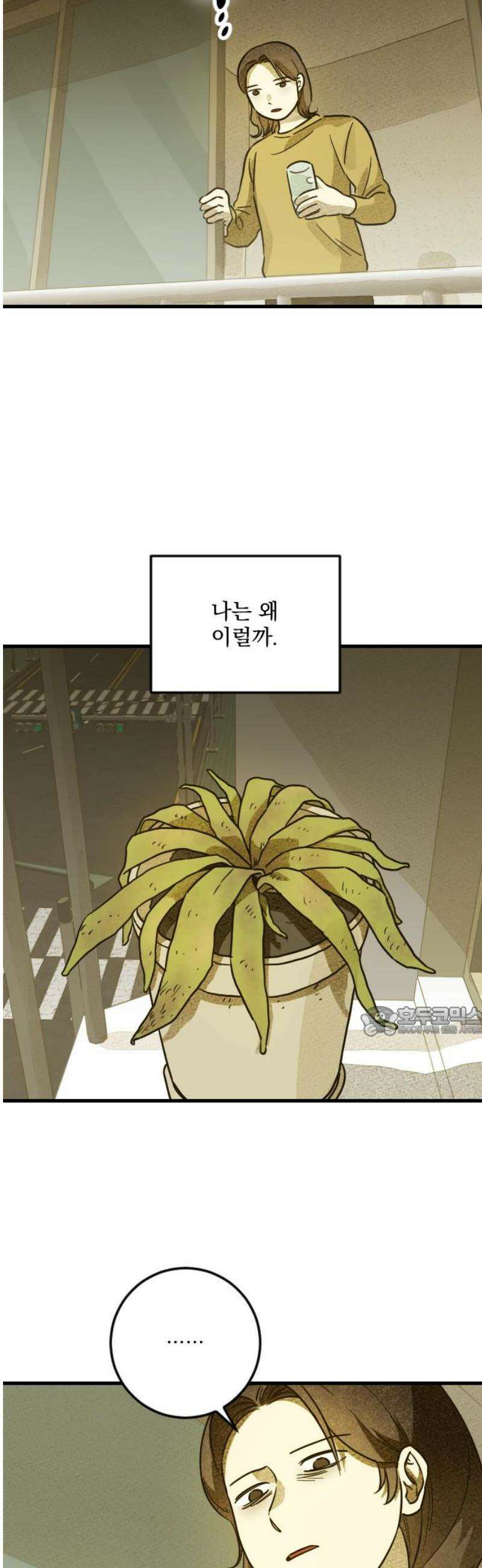 해가 드는 곳으로 9화 - 은행 속에 있는 것 15