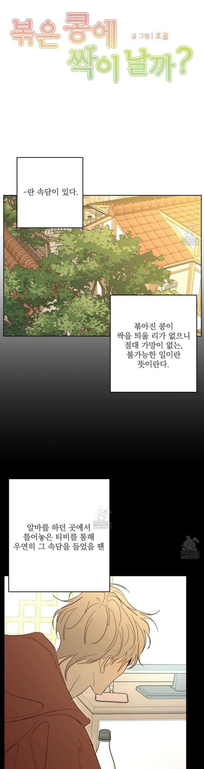 볶은 콩에 싹이 날까? 116화(최종화) 4