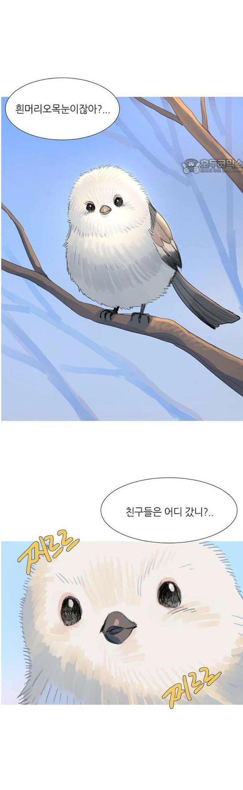 청춘 관찰기 1화 5